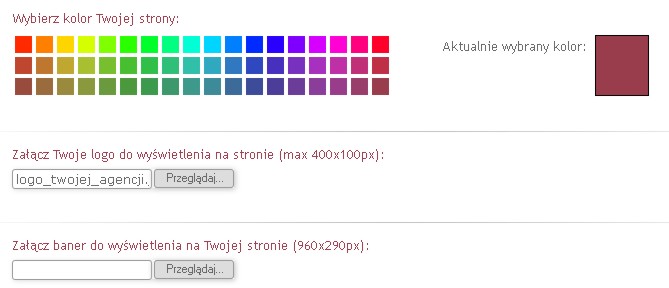 Możliwość personalizacji wyglądu Twojej strony img_preview